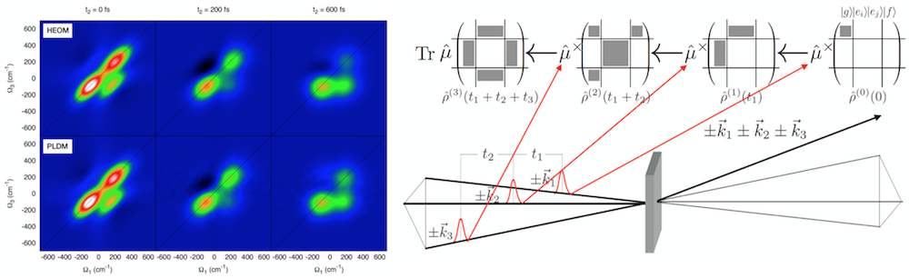 nonlinear_pldm.png